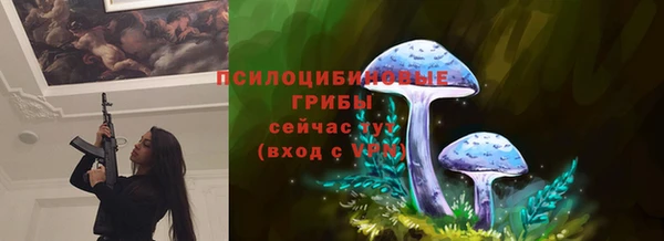 альфа пвп Горнозаводск