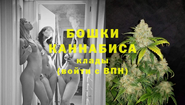 альфа пвп Горнозаводск