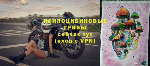 ECSTASY Горно-Алтайск