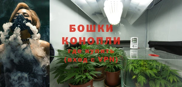 хмурый Вяземский