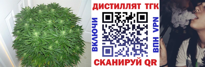 Купить где  Зарайск  ТГК THC oil 