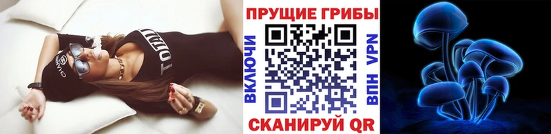 Псилоцибиновые грибы GOLDEN TEACHER  Купить где  Зарайск 